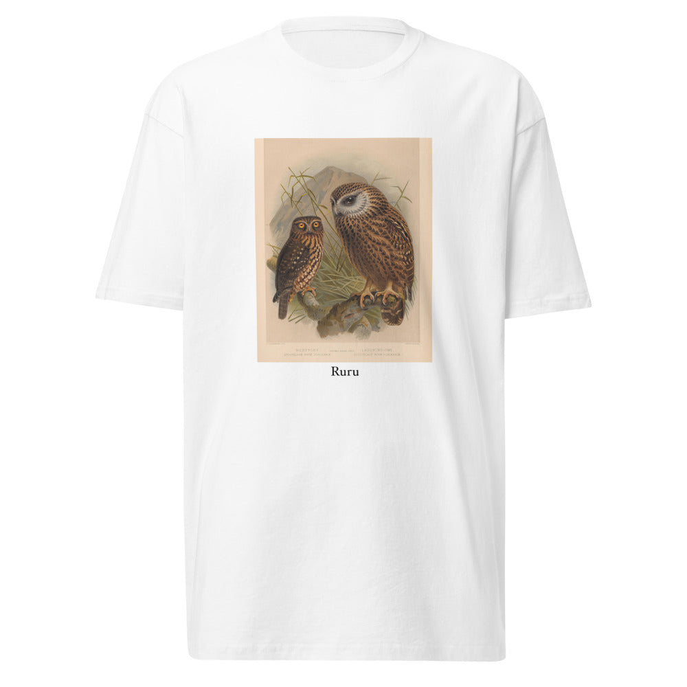 Ruru — Morepork