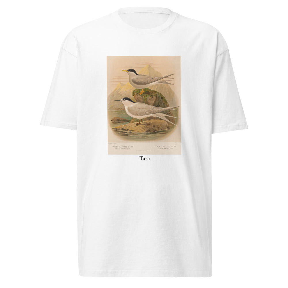Tara — White-fronted Tern