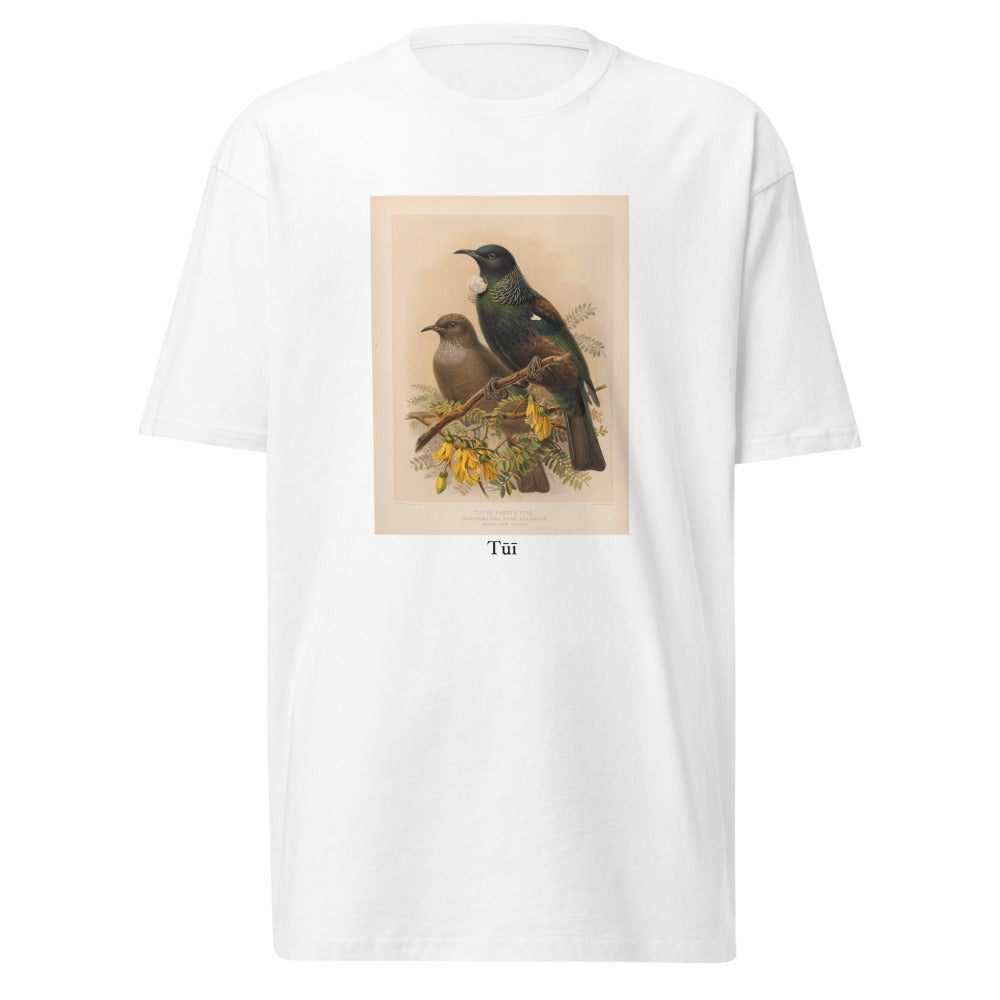 Tūī — tūī
