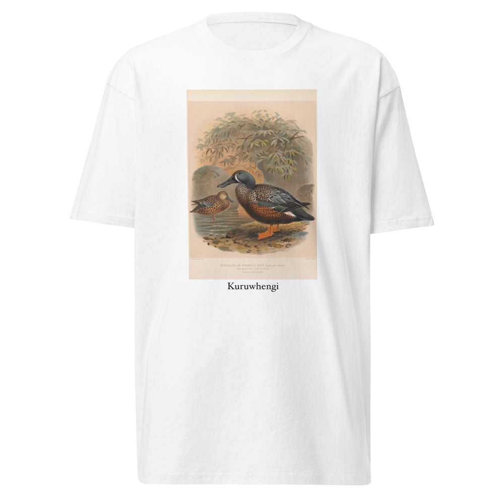 Kuruwhengi — Australasian shoveler
