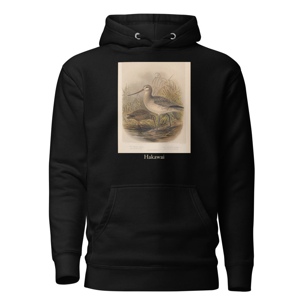 Hakawai — Subantarctic snipe