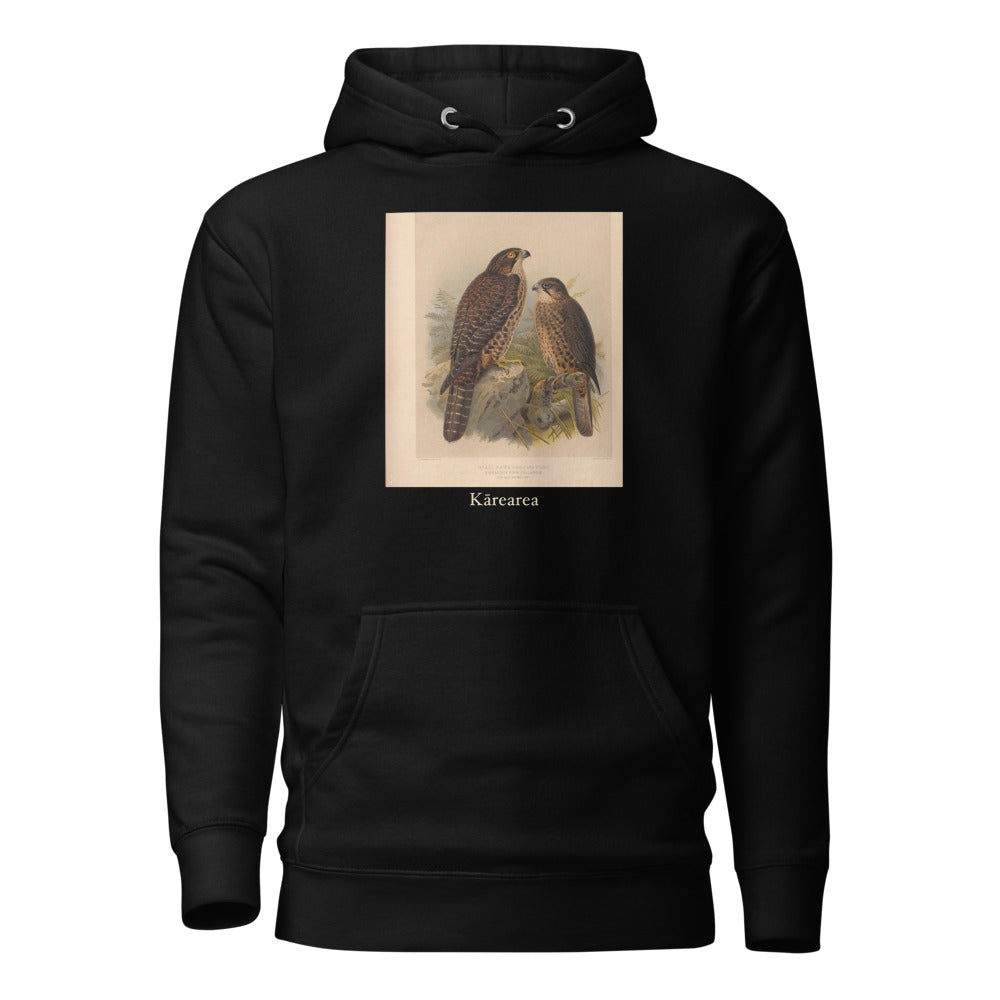 Kārearea — New Zealand Falcon