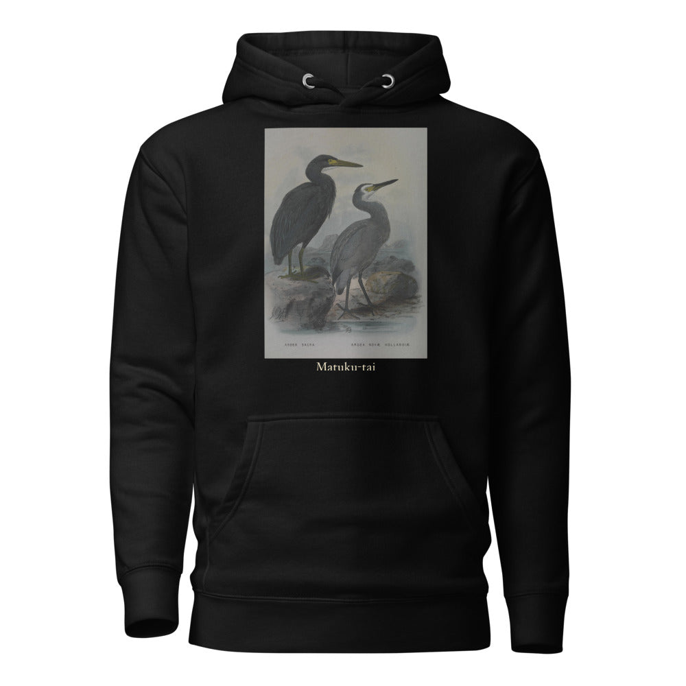 Matuku-tai — Pacific Reef Heron