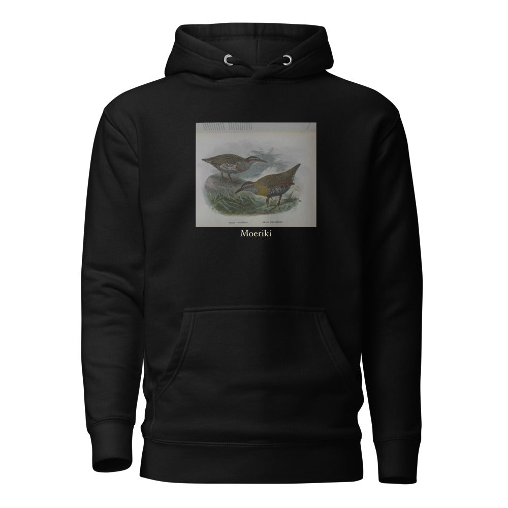 Moeriki — Dieffenbach's rail