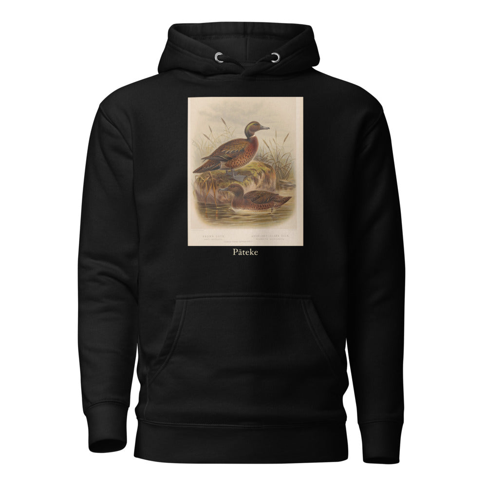 Pāteke — Brown Teal