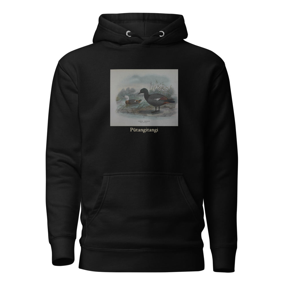 Pūtangitangi — Paradise Shelduck