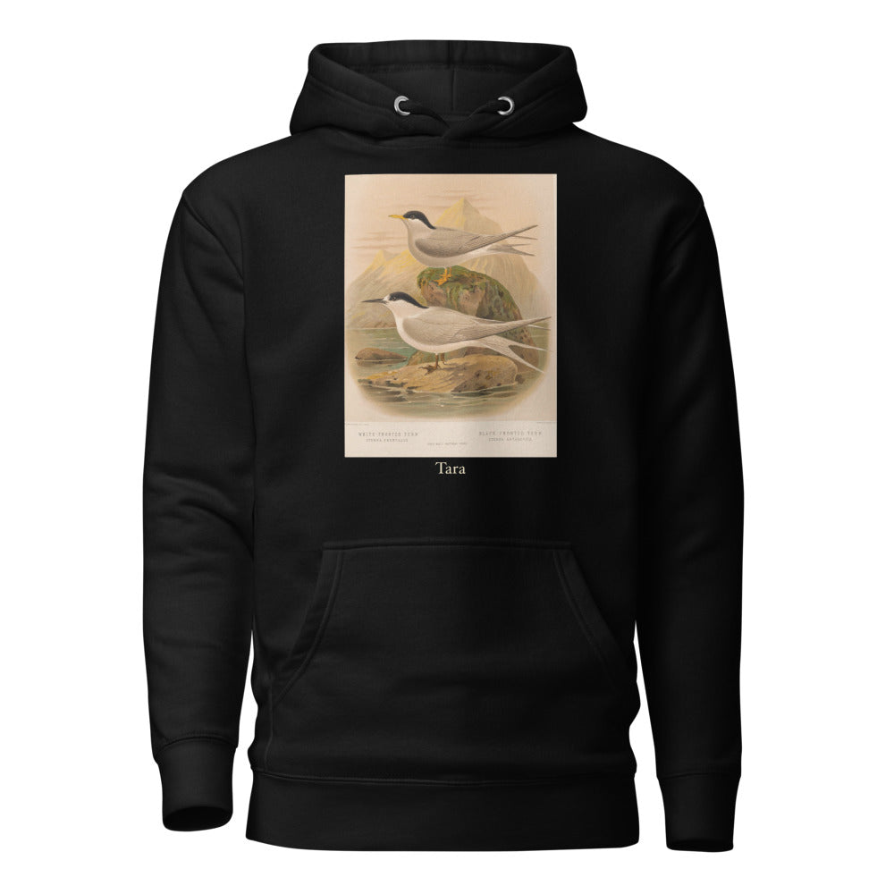 Tara — White-fronted Tern