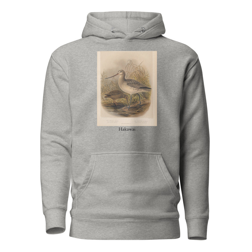 Hakawai — Subantarctic snipe