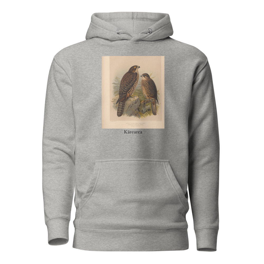 Kārearea — New Zealand Falcon