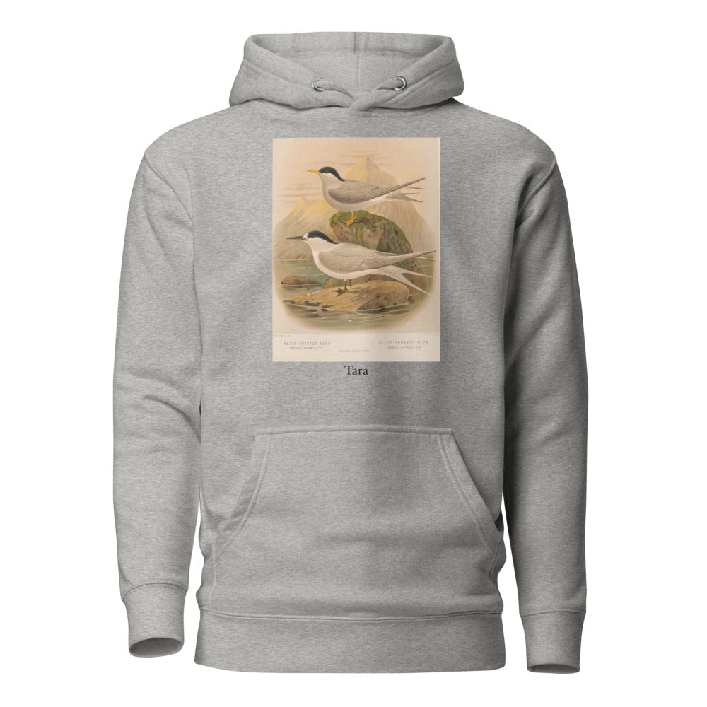 Tara — White-fronted Tern