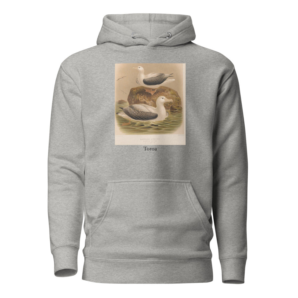 Toroa — Wandering albatross