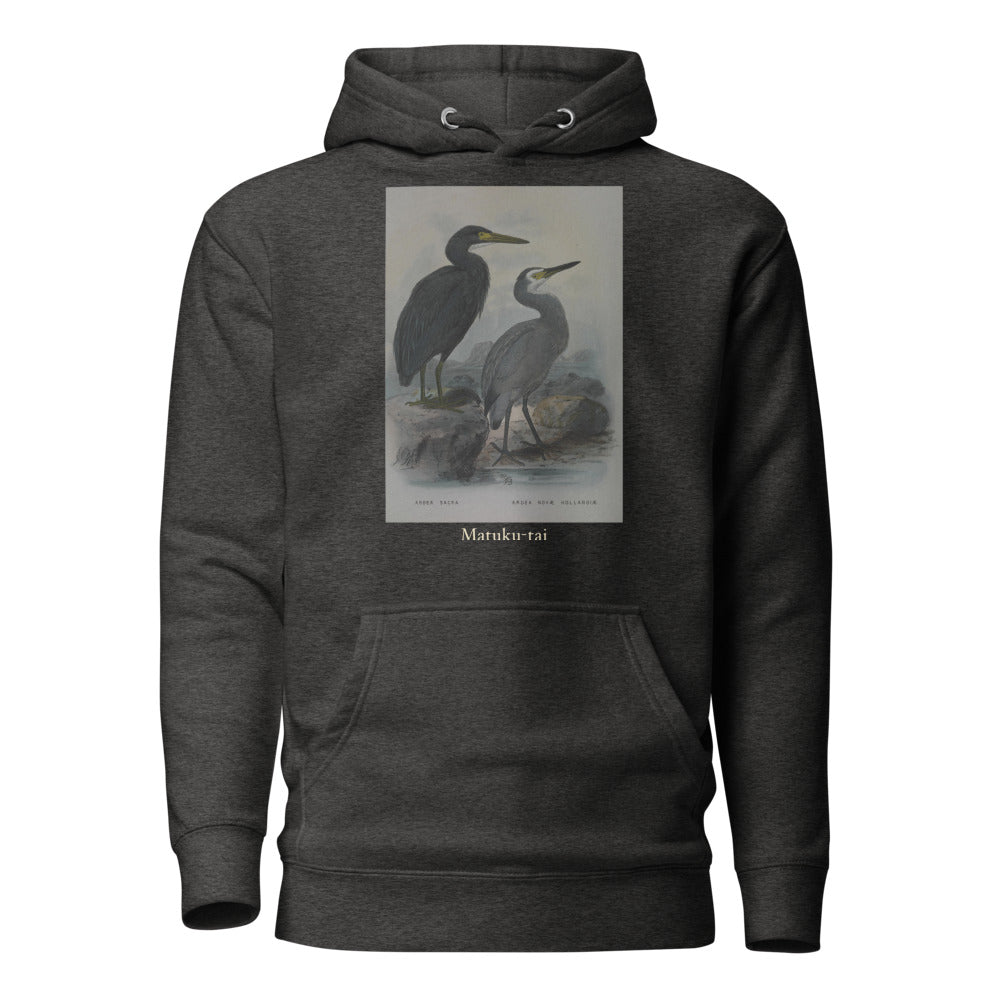 Matuku-tai — Pacific Reef Heron