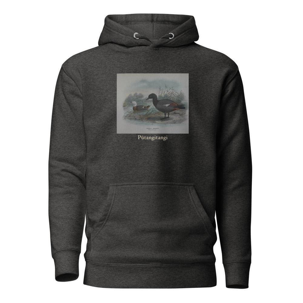 Pūtangitangi — Paradise Shelduck