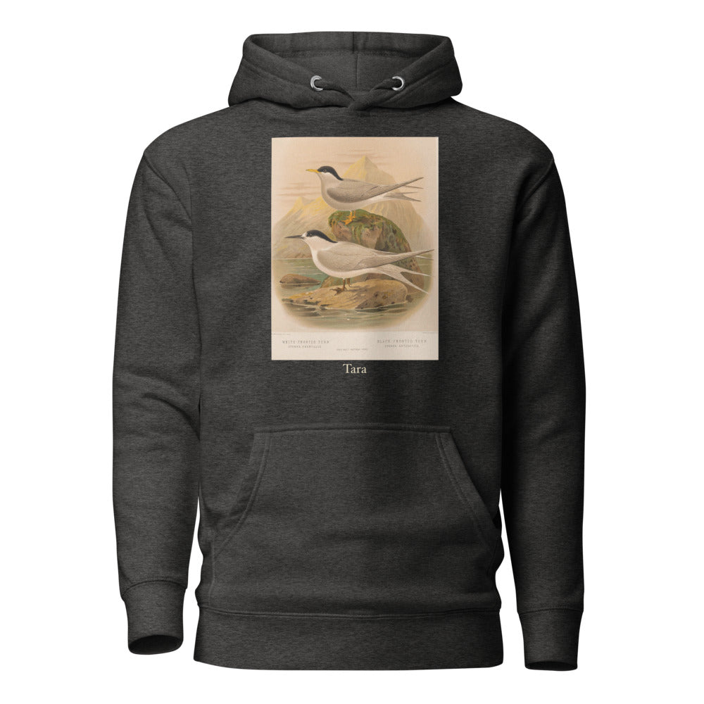 Tara — White-fronted Tern