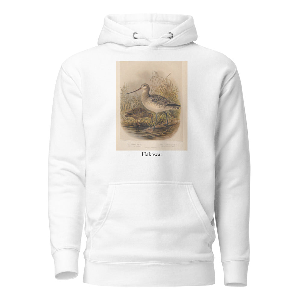 Hakawai — Subantarctic snipe