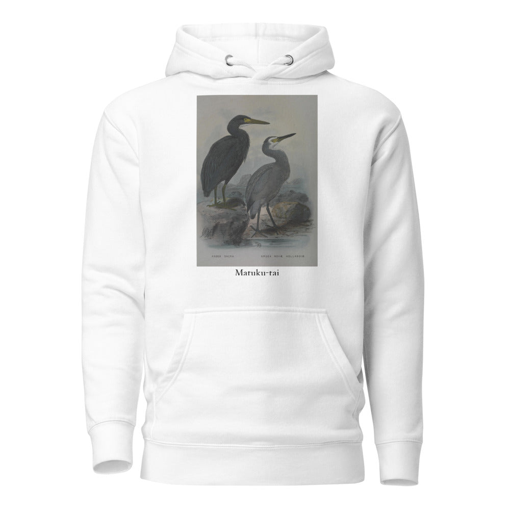 Matuku-tai — Pacific Reef Heron