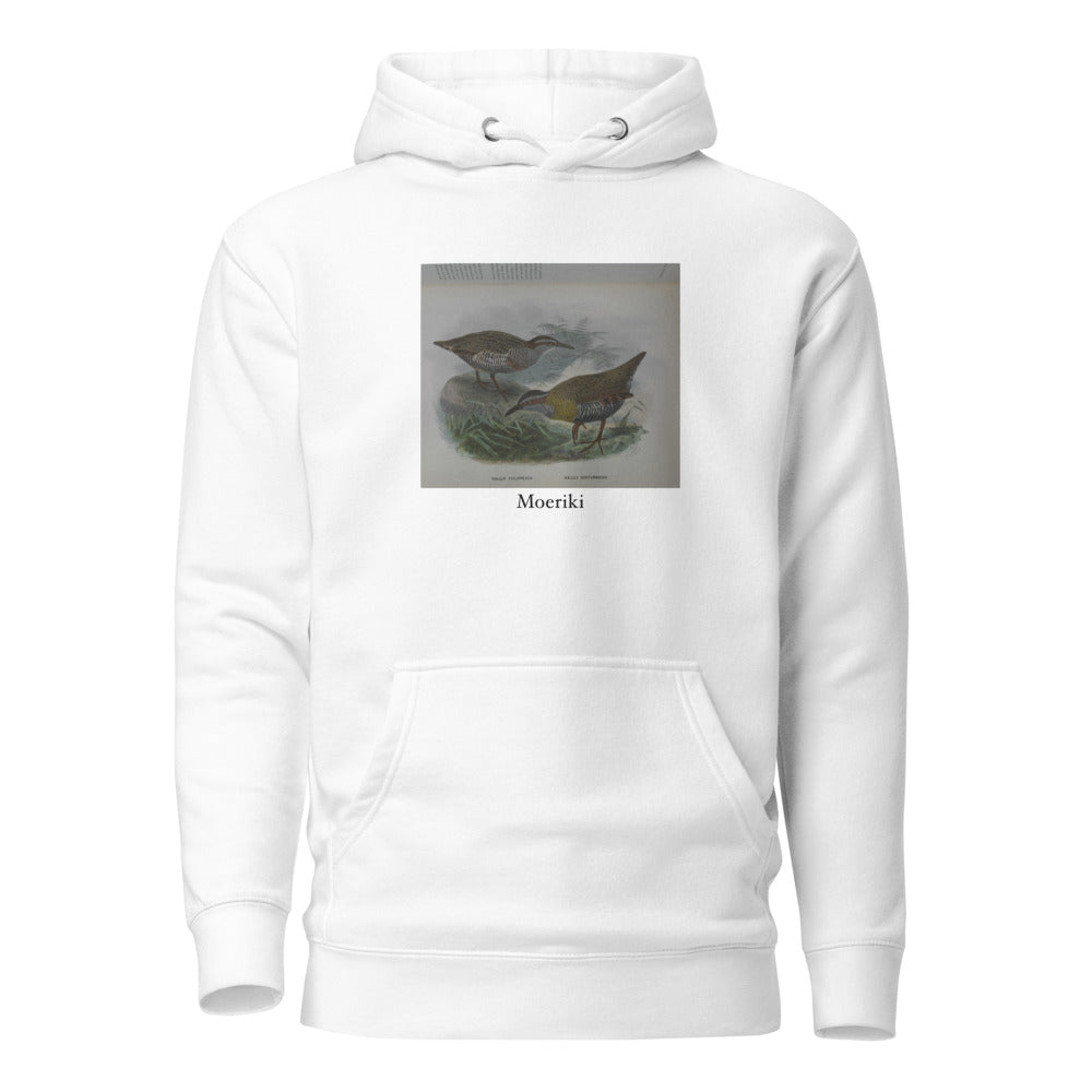 Moeriki — Dieffenbach's rail