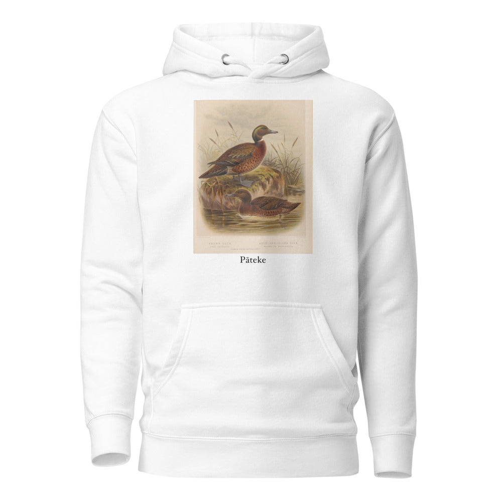 Pāteke — Brown Teal