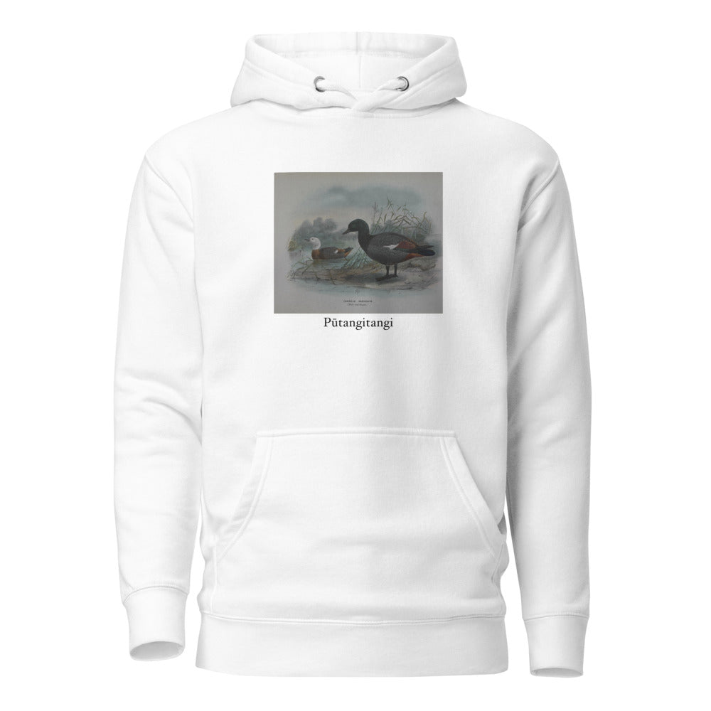 Pūtangitangi — Paradise Shelduck