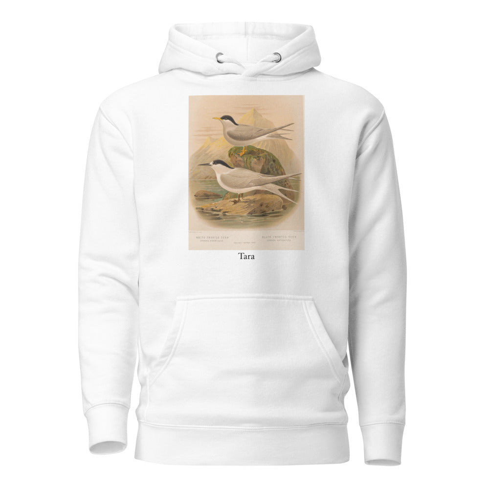 Tara — White-fronted Tern