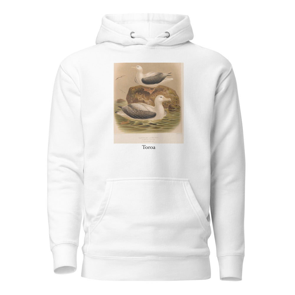 Toroa — Wandering albatross