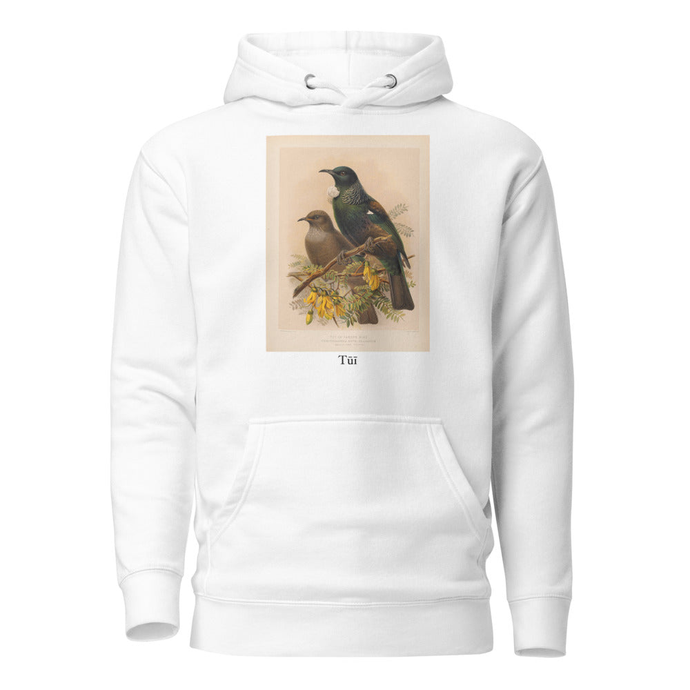 Tūī