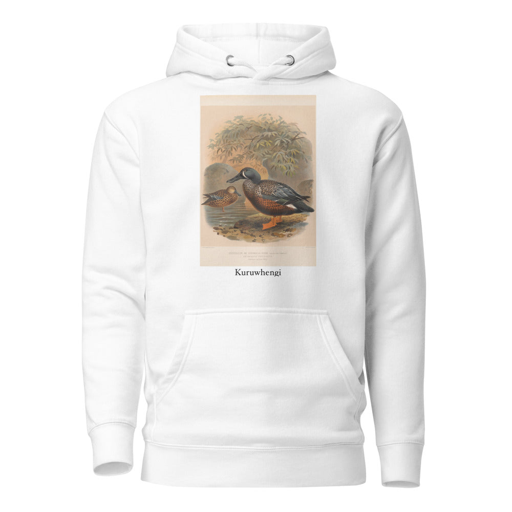 Kuruwhengi — Australasian shoveler